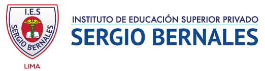 APRENDIZAJE VIRTUAL INSTITUTO SERGIO BERNALES LIMA